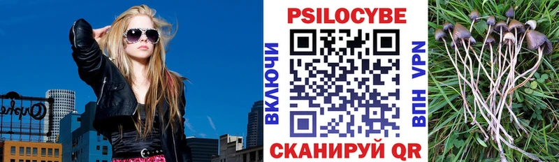 Галлюциногенные грибы мицелий  Купить  Бахчисарай 